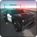 Police on highwayv