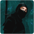 Ninja Warrior Assassin Schoolv