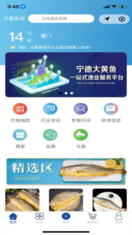 大黄鱼v1.0.1