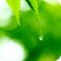 清新护眼水珠动态壁纸v1.7.0