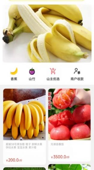 天蕉云果v1.0.0