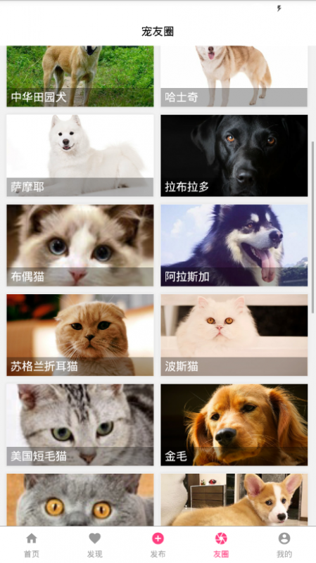 宠友帮v1.6.0