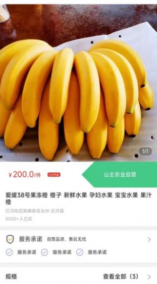 天蕉云果v1.0.0