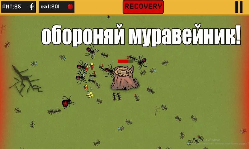 蚂蚁领地v3.1.7