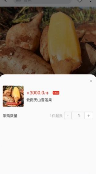 天蕉云果v1.0.0