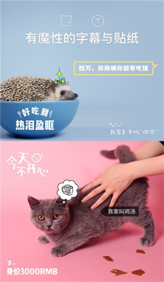 猫饼视频v1.2.4