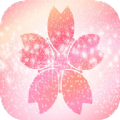 樱花壁纸v1.1