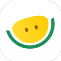 西瓜买车v1.0.1