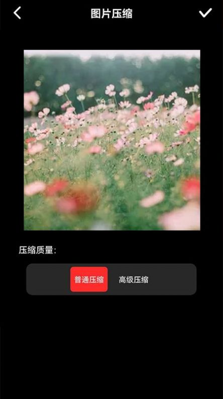 图像压缩器v1.1