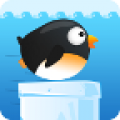 Diving Penguinv