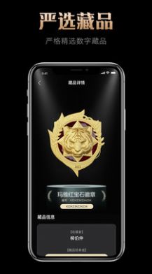 玛雅藏品v1.0.0