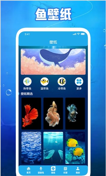 养鱼小高手v1.4