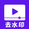 流年去水印v2.0