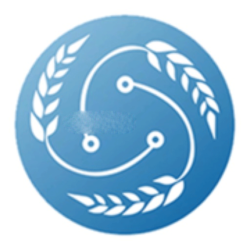 芯链生活v0.0.11