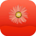 菊花倒数日记v1.0.0