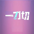 一刀切appv1.1