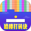 哈喽打砖块v1019.888.888