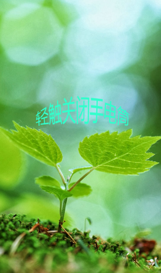 护眼手电筒v