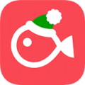 vllov5.2.1