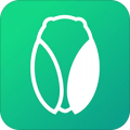 凸觅v3.1.2