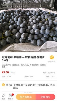 量子美食v2.5.4