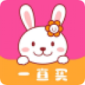 一直买v1.6