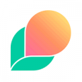朗果语言v1.0