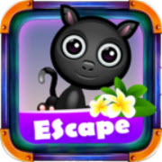 万圣节黑猫大逃亡v0.1