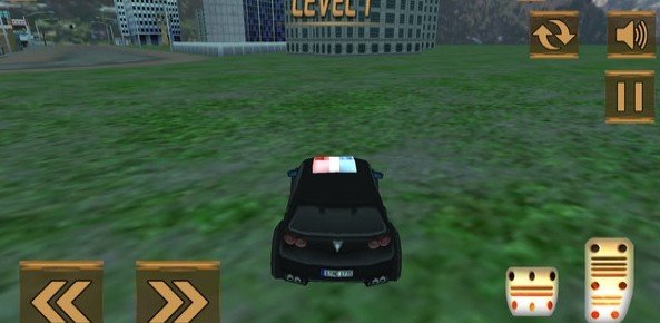 极端警察汽车v1.0