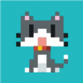 馋游猫v1.0.0