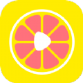 九柚拍照v1.1