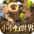 小小蚁世界v1.31.1