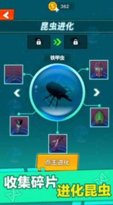 昆虫进化大乱斗v1.0