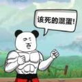 该死的混蛋2v1.5