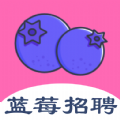 蓝莓招聘v1.0.0