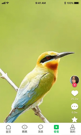 妈妈在线v2.0.5