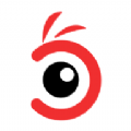义礼博斯v1.0.1.1