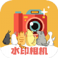 水印p图v3.1.7