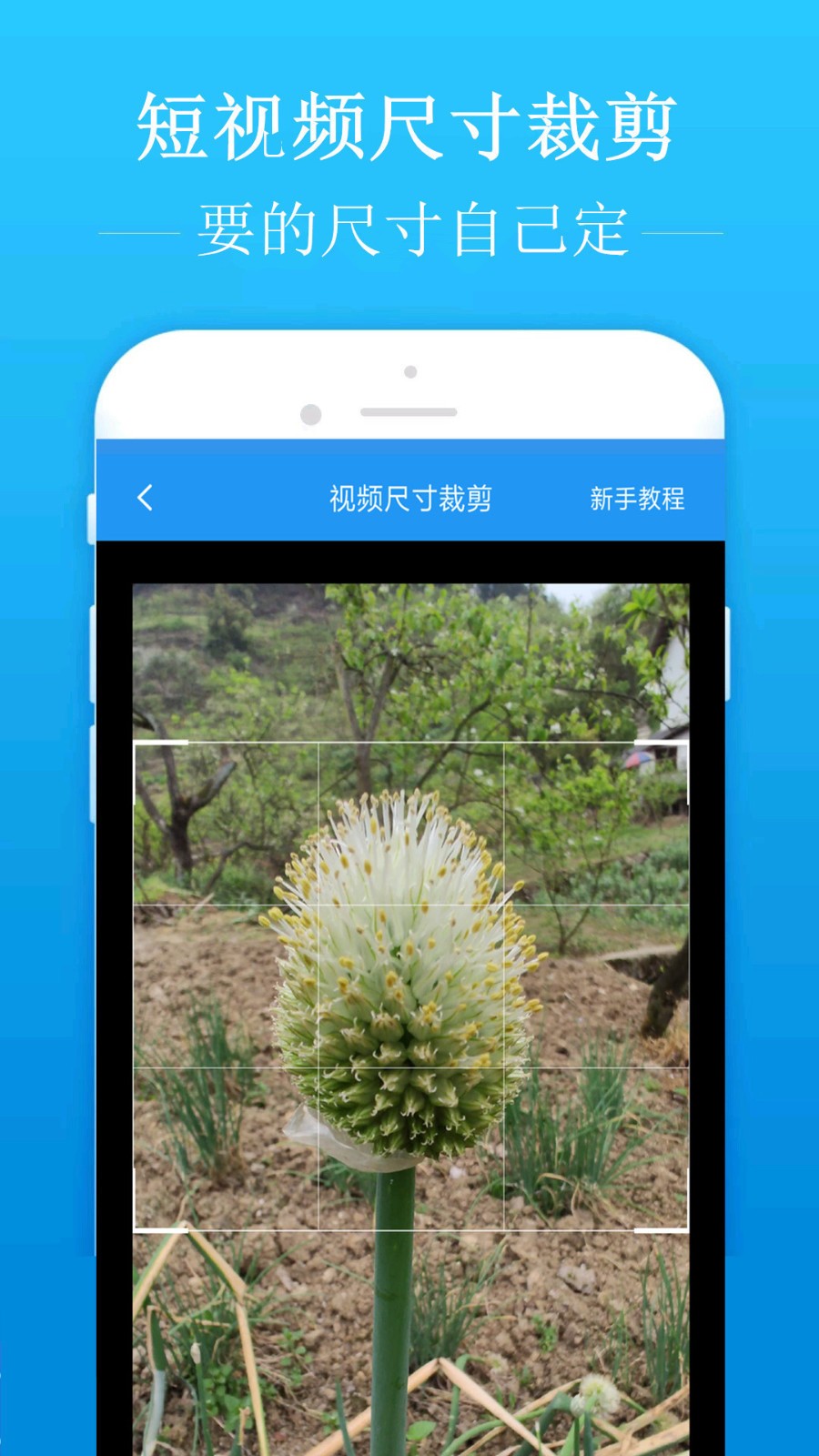 去水印吧v1.8.1