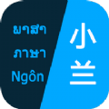 小兰翻译v1.2.4