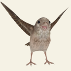 救救那小鸟v1.2