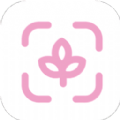 最美主题壁纸v1.3