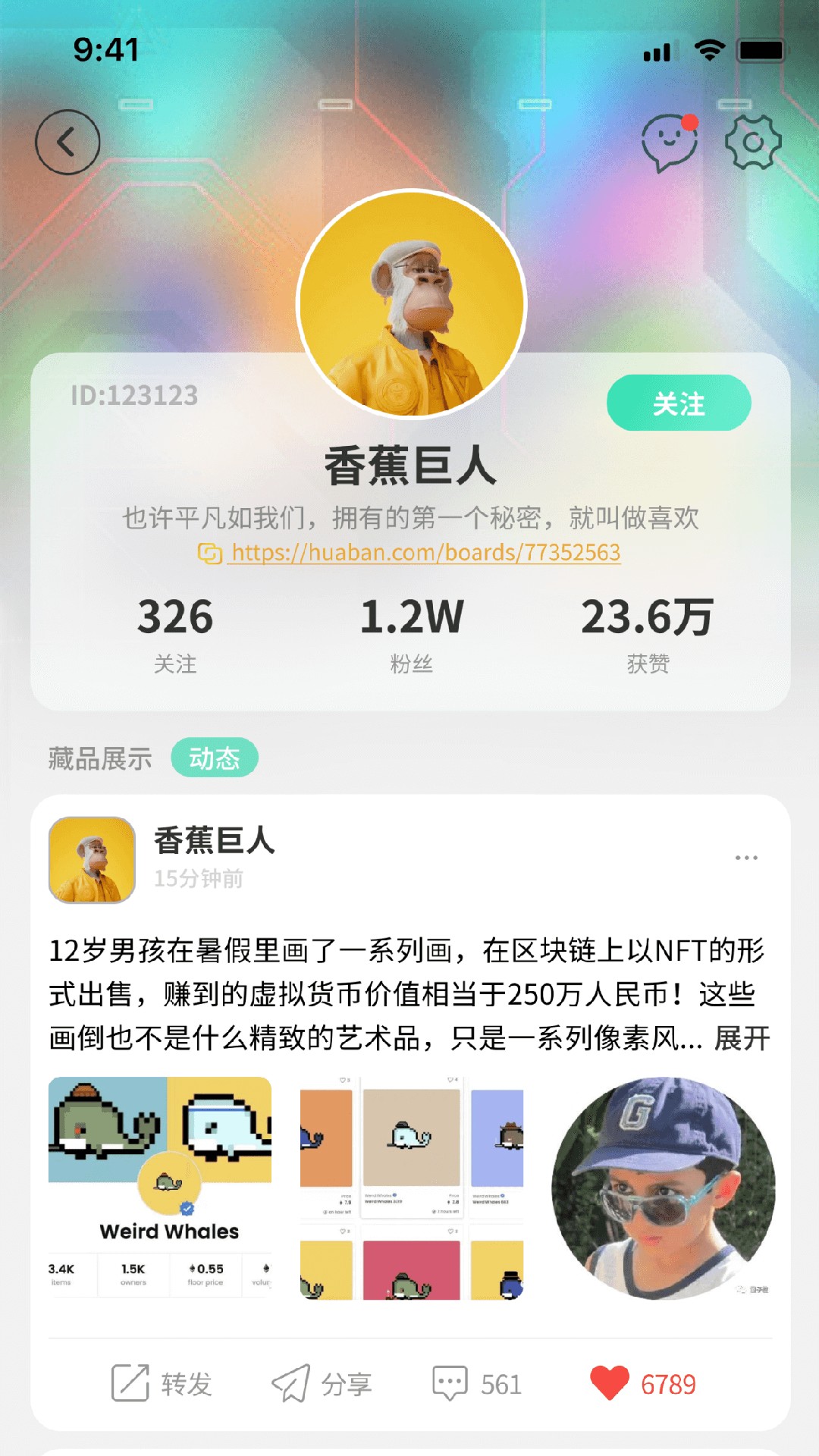 波荷v1.0.4