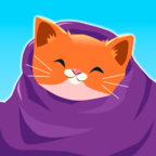 猫咪毛毯v0.1.2