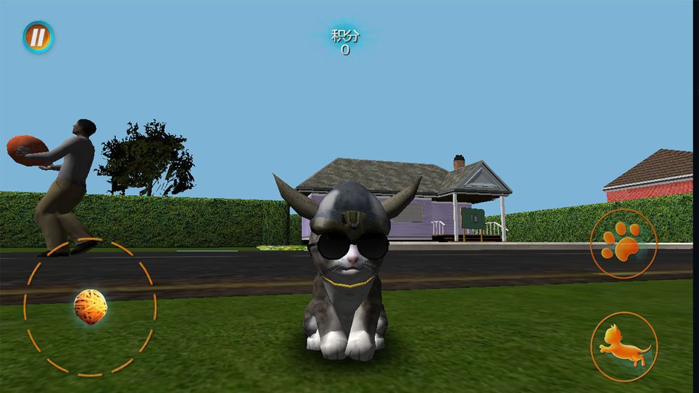 真实小猫3D模拟v1.0