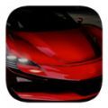 开放世界极限赛车v1.3
