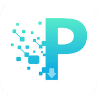 P2P下载器手机版v1.3.3
