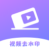 极速去水印大师v1.0.0