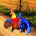 疯狂大跑酷v1.0.2