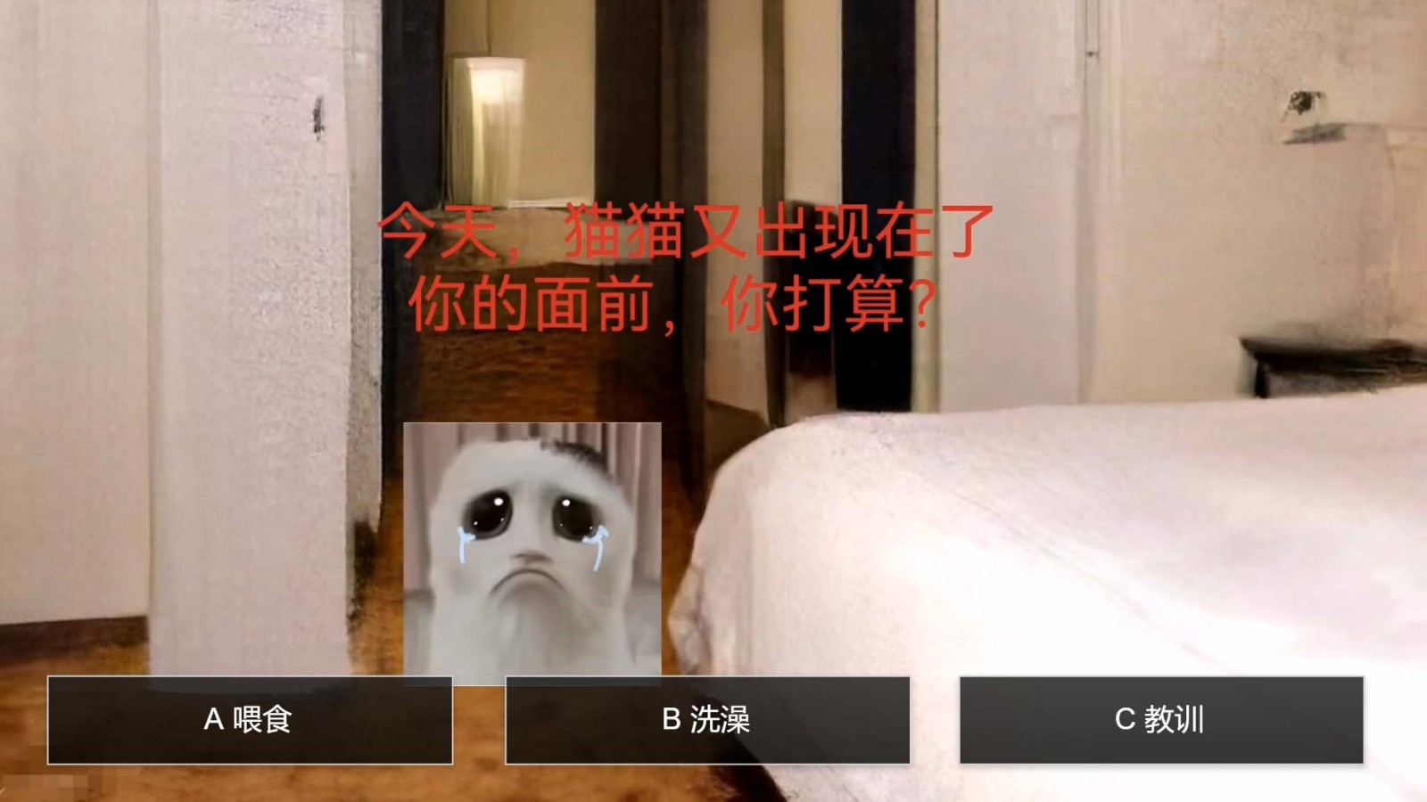 猫鼠特工v1.0